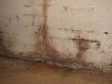 Mold Treatment For A Flooded Basement Pictures