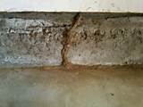 Pictures of Termite Homes