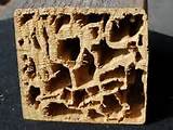 Treat Termites In Furniture Photos