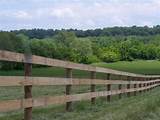 Horse Rail Fencing Pictures