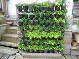 Bottle Garden Design Photos