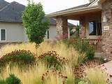 Front Yard Xeriscaping Landscaping Images