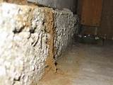 Termite Damage Behind Stucco