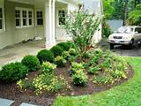 Pictures of Landscape Your Yard