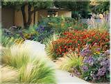 Drought Resistant Landscaping Pictures