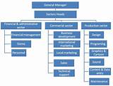 Pictures of Company Department Structure Chart
