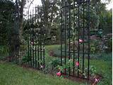 Pictures of Climbing Rose Support Trellis Panels