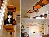 Hauspanther Cat Shelves