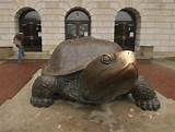 Pictures of University Of Maryland Testudo
