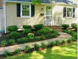 Images of Minimalist Front Yard Landscaping