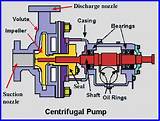 Difference Between Positive Displacement And Centrifugal Pumps Pictures