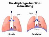 Breathing Exercises Using Diaphragm Images