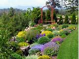 Natural Designs Lawn And Landscaping