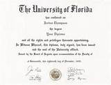 Images of University Of Florida Online Phd