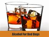 Photos of Alcohol Bed Bug Treatment