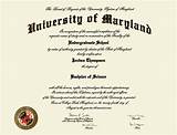 Bachelor Degree Diploma Frames