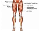 Images of Leg Exercises Quadriceps