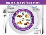 Portion Plate For Adults