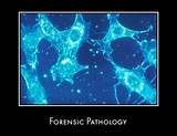Forensic Pathology University Pictures