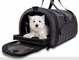 Best Airline Approved Dog Carriers