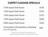 Vanish Easy Clean Carpet Cleaning Kit
