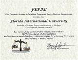 Online Bachelors Degree Forensic Science Pictures
