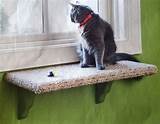 Diy Cat Window Shelf Pictures