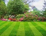 Lawn And Landscape Grooming Pictures