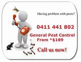 How To Find The Best Pest Control Company Photos