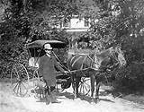 Images of Horse And Buggy Doctor