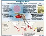 Home Remedies For Dengue Prevention