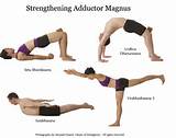 Groin Muscle Strengthening Images