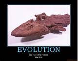 Fossils And Evolution