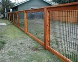 Cattle Panel Fence Ideas Images