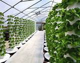 Images of Vertical Farming Supplies