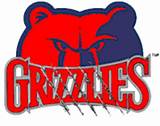 Grassfield High School Football