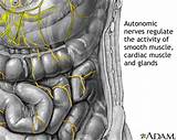 Polyneuropathy Mayo Clinic Images