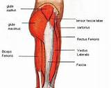 Images of Core Muscles Benefits