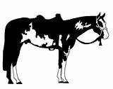 Pictures of Quarter Horse Stickers