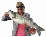 Pictures of Striper Fishing Guides Lake Texoma