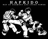 Fighting Style Hapkido