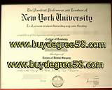 Graduate Degree Nyu Images
