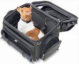 Motorcycle Pet Carrier