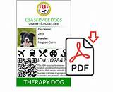 Pictures of Therapy Service Dog Registration