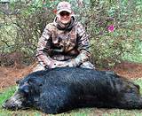 Hog Hunting Outfitters In South Carolina Images