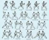 Karate Training Exercises Pdf