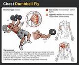 Chest Muscle Exercises At Home Photos