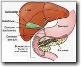 Pictures of What Type Of Doctor Should I See For Liver Problems