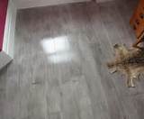 Plywood Floor Paint Photos