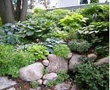 Photos of Best Landscaping Rock For Dogs